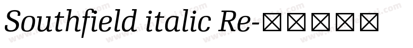 Southfield italic Re字体转换